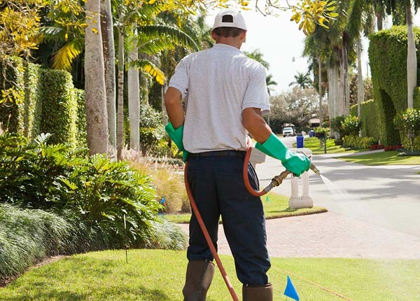 About Randalia IA Pest Control